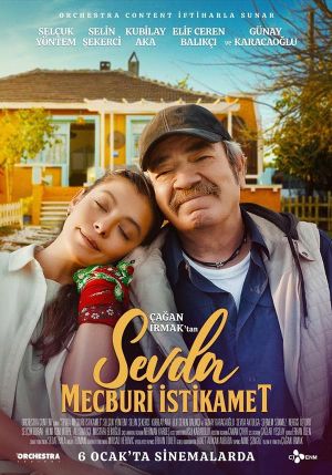 Sevda: Mecburi Istikamet's poster