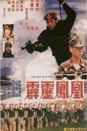 Pi li feng huang's poster