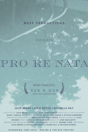 Pro Re Nata's poster