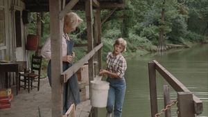 The River Rat's poster
