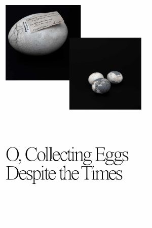 O, Collecting Eggs Despite the Times.'s poster