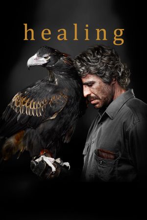 Healing's poster