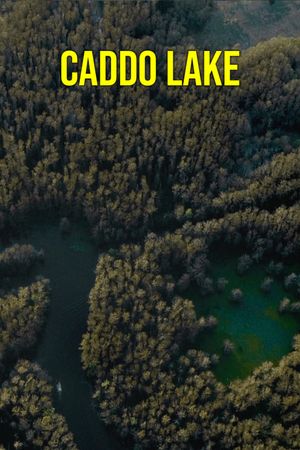 Caddo Lake's poster