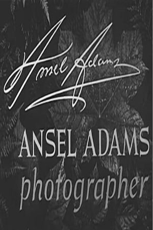 Ansel Adams, Photographer's poster