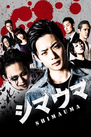 Zebra's poster