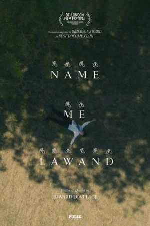 Name Me Lawand's poster image