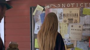 Ticks's poster