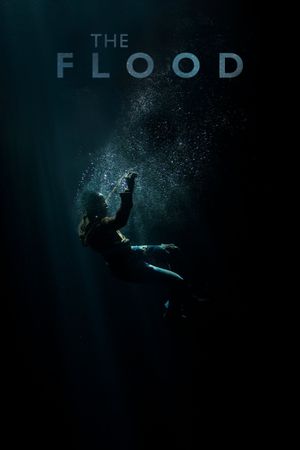 The Flood's poster