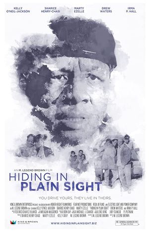 Hiding in Plain Sight's poster