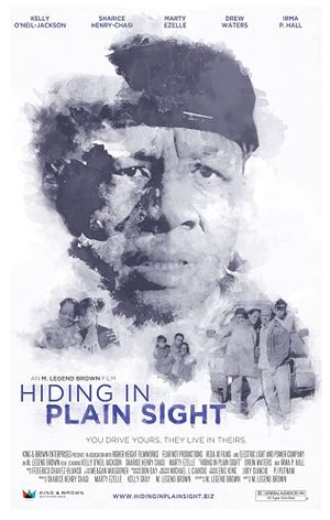 Hiding in Plain Sight's poster image