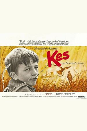 Kes's poster
