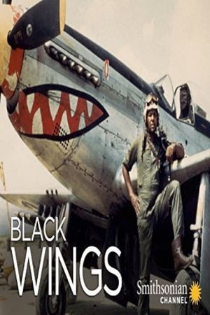 Black Wings's poster