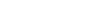 The Boy and the Heron's poster