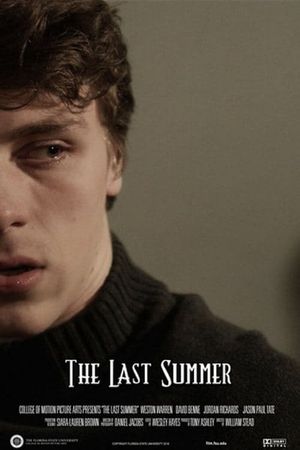 The Last Summer's poster