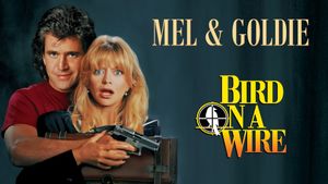 Bird on a Wire's poster