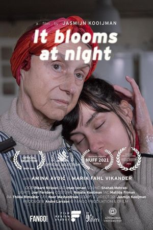 It Blooms at Night's poster