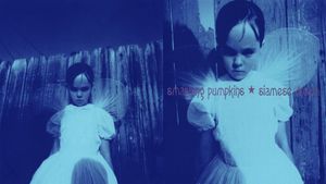 The Smashing Pumpkins Live at the Metro, 1993's poster