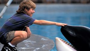 Free Willy's poster