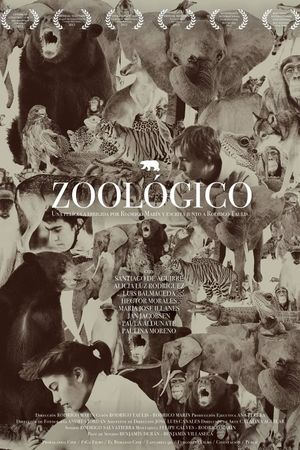 Zoológico's poster