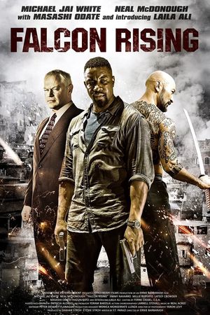 Falcon Rising's poster