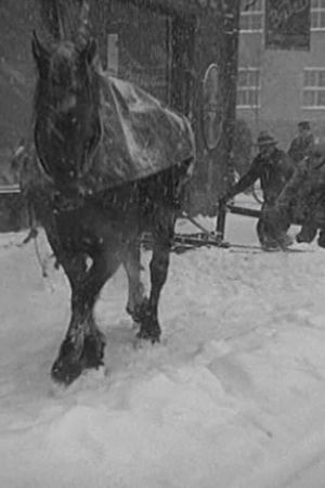 Snowstorm Over Stockholm's poster