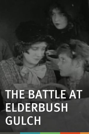 The Battle at Elderbush Gulch's poster