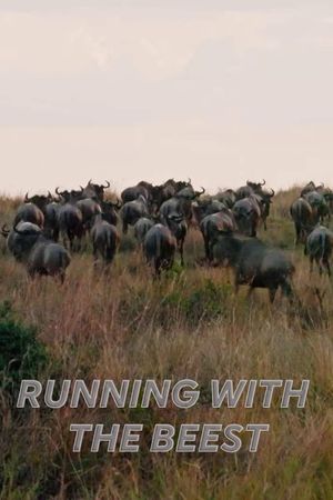 Running With The Beest's poster image