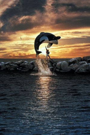 Free Willy's poster