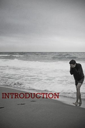 Introduction's poster