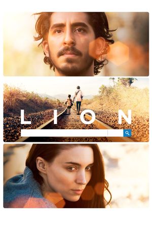 Lion's poster