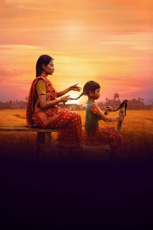 The Braid's poster