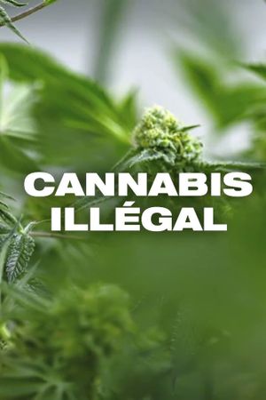 Cannabis illégal's poster