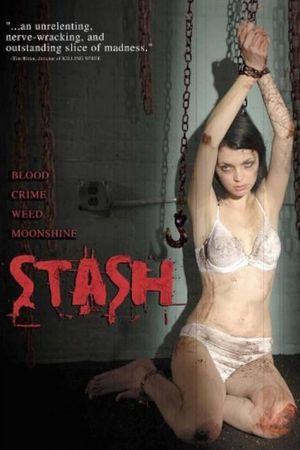 Stash's poster