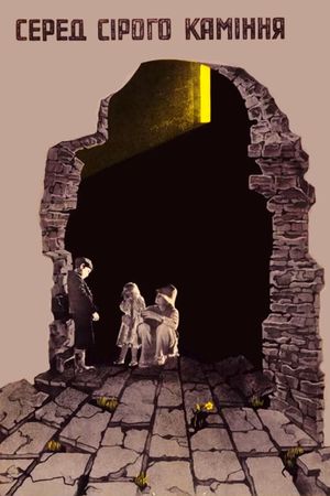 Among Grey Stones's poster
