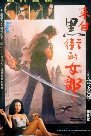 Handsome Vagabond's poster