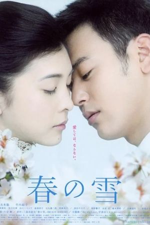 Snowy Love Fall in Spring's poster