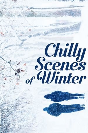 Chilly Scenes of Winter's poster