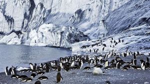 Antarctica: The Frozen Time's poster