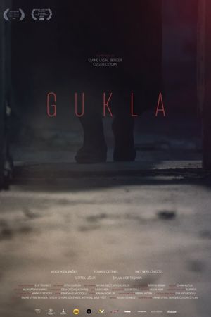 The Doll's poster