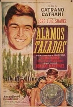 Álamos talados's poster