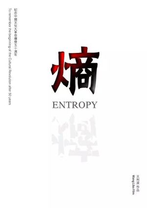 Entropy's poster