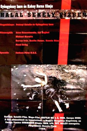 Death in Shallow Water's poster