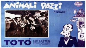 Animali pazzi's poster