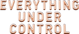 Everything Under Control's poster