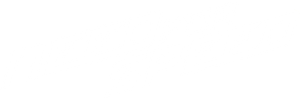 Need for Speed's poster
