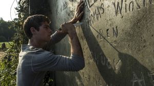 The Maze Runner's poster