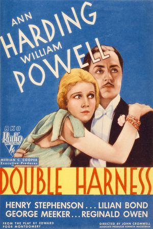 Double Harness's poster