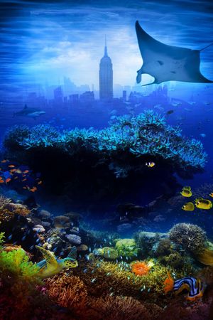 The Last Reef: Cities Beneath the Sea's poster