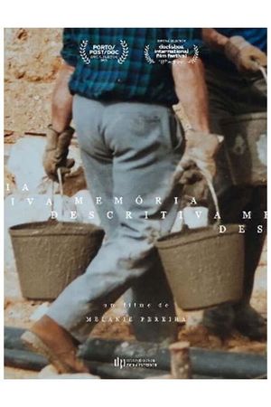 Descriptive Memory's poster
