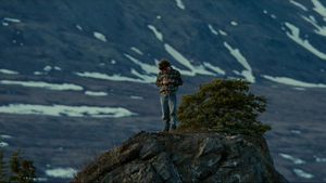 Into the Wild's poster